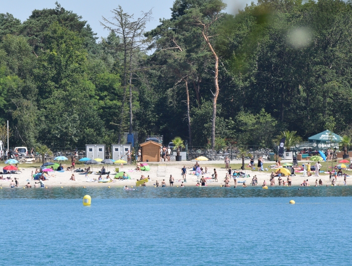 Foto: 'Blauwe Meertje'.